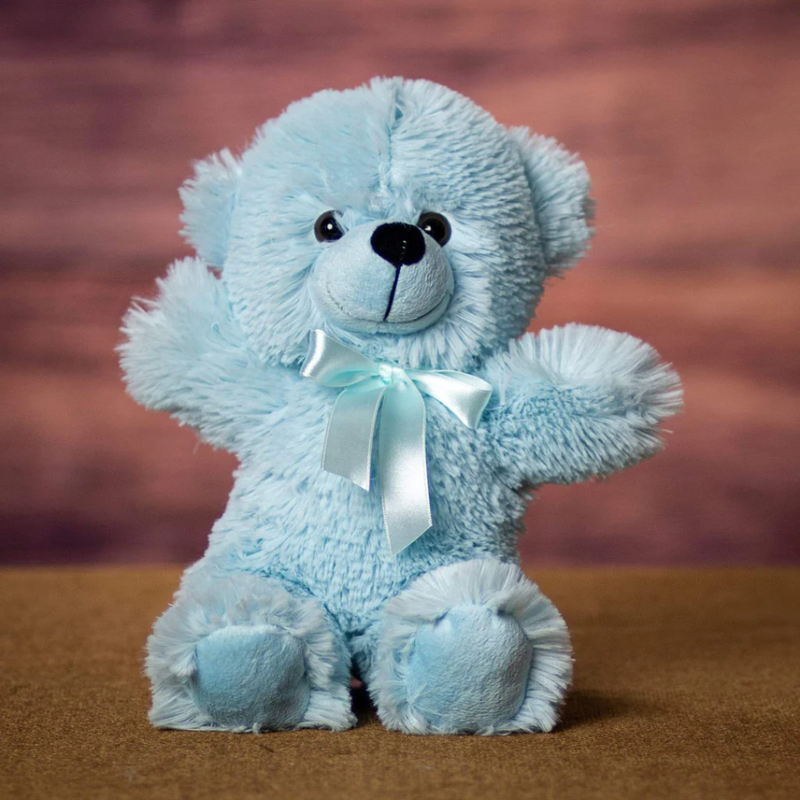 12" Baby Blue Hug Bear