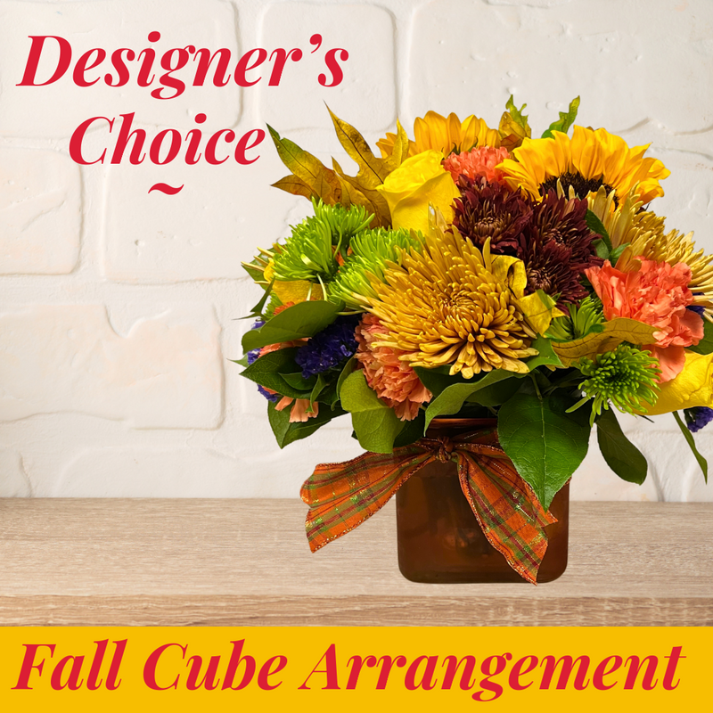 Designer's Choice Fall cube