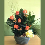 Flower Delivery Florist Funeral Sympathy Naples Butterfly Garden