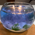 Ocean Bowl Candle